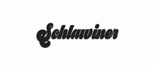 schlawiner meaning