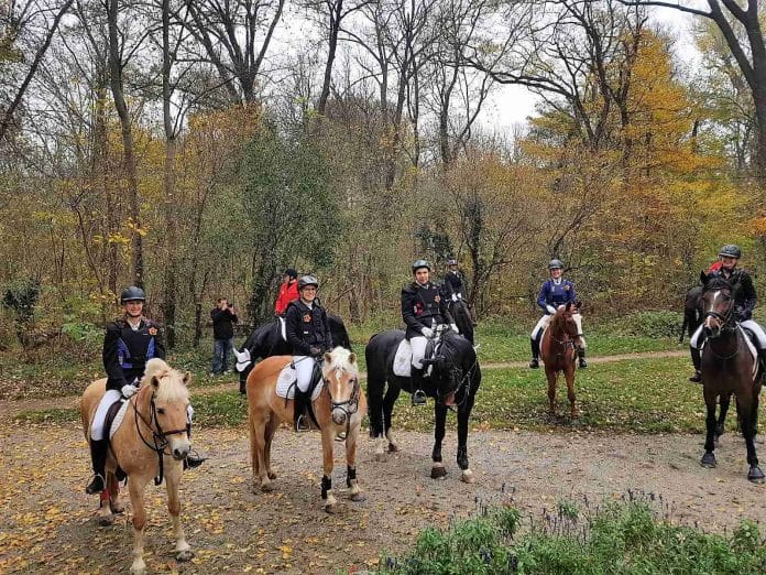 Riding clubs in vienna